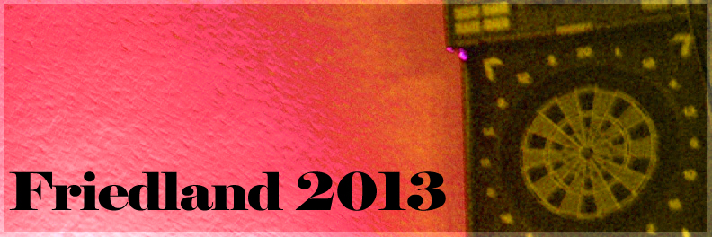 Friedland 2013